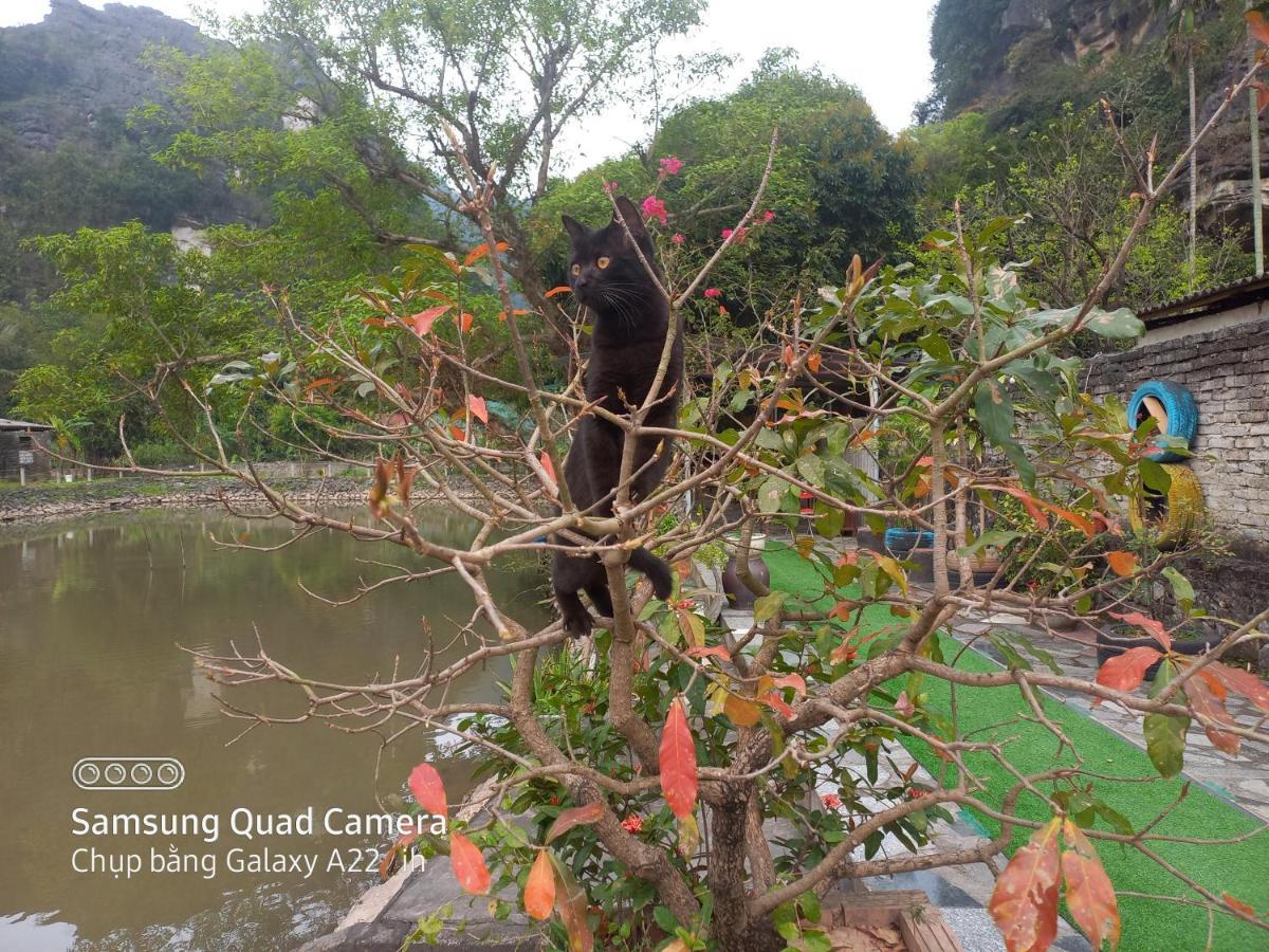 Trang An Pristine View Homestay Ninh Binh Buitenkant foto