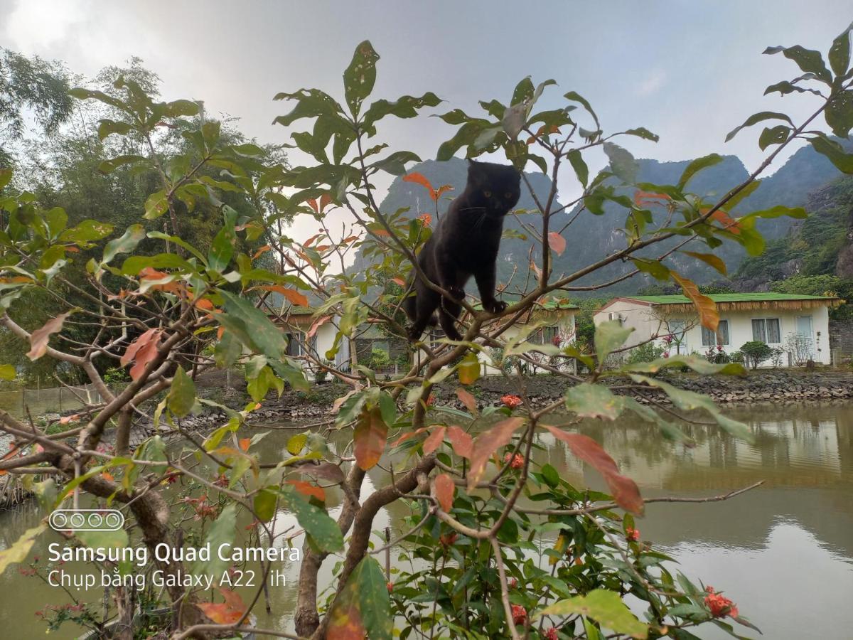 Trang An Pristine View Homestay Ninh Binh Buitenkant foto